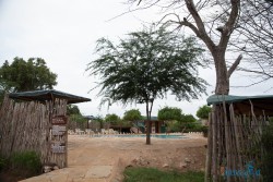 Kena_Tsavo