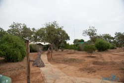 Kena_Tsavo
