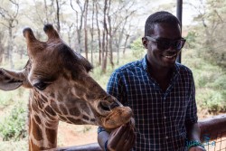 Kena_Žirafy Nairobi
