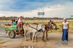 NAM_Etosha National park