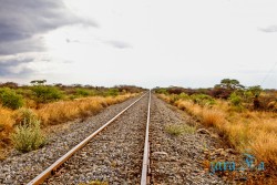 NAM_Etosha National park