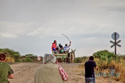 NAM_Etosha National park