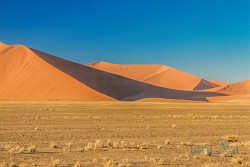 NAM_Sossusvlei