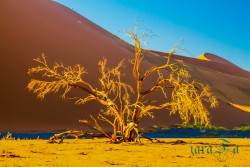 NAM_Sossusvlei