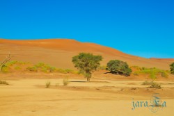 NAM_Sossusvlei