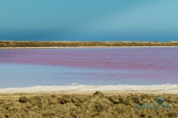 NAM_Walvis Bay