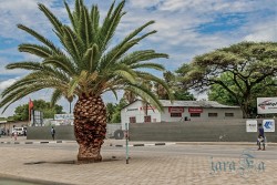 Namibie - cestou