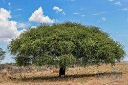Namibie - cestou