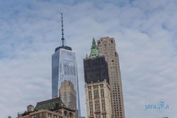 USA_New York 1