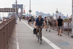 USA_New York 1