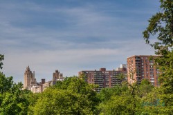 USA_New York 1