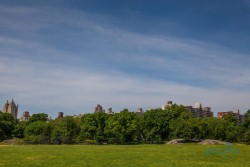 USA_New York 1