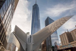 USA_New York 1