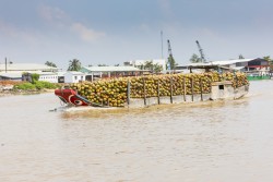 Vietnam_Ben Tre