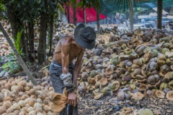 Vietnam_Ben Tre