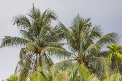 Vietnam_Ben Tre