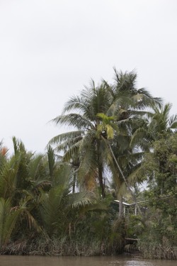 Vietnam_Ben Tre