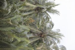 Vietnam_Ben Tre