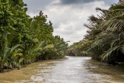 Vietnam_Ben Tre