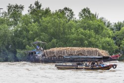 Vietnam_Ben Tre